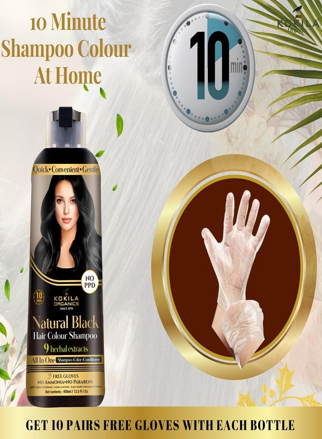 Kokila NO PPD Shampoo Hair Colour - Black 400ml for Women and Men | Natural Extracts | Colours Hair in 10 Minutes | Ammonia Free, Paraben Free - 10 Pair Free Gloves - Image 3