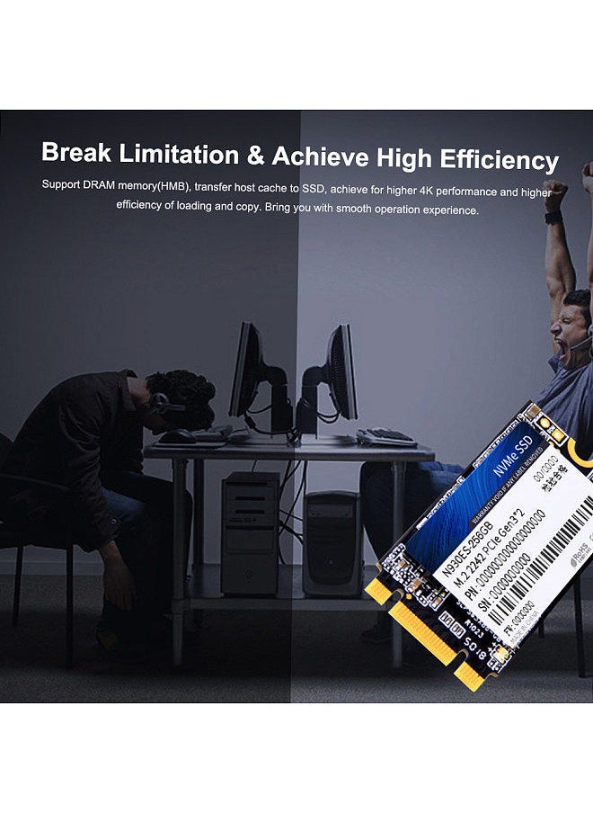 N930ES NVMe M.2 2242 SSD Gen3*2 PCIe 3D MLC/TLC NAND Flash Solid State Drive 512GB