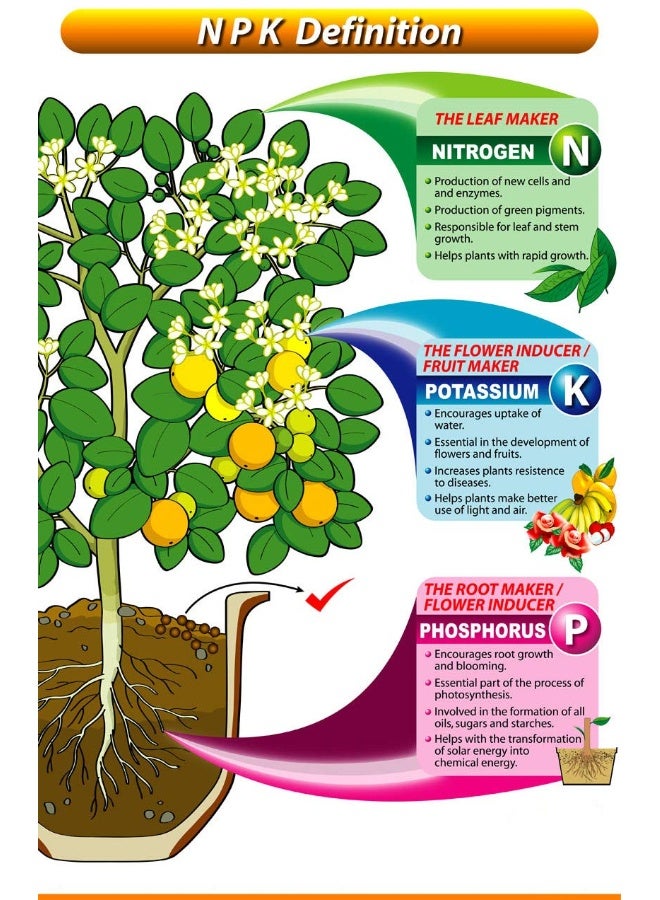 SUCCESS Desert Energy Water Soluble Fertilizers Combo - Image 2