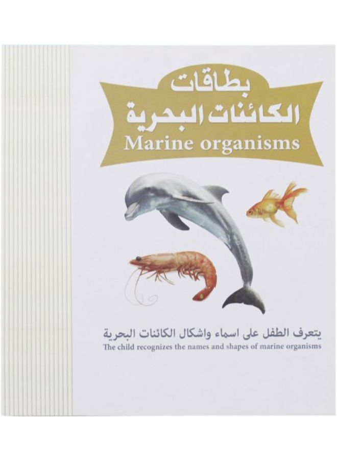 بطاقة فلاش بتصميم الكائنات البحرية - Image 2