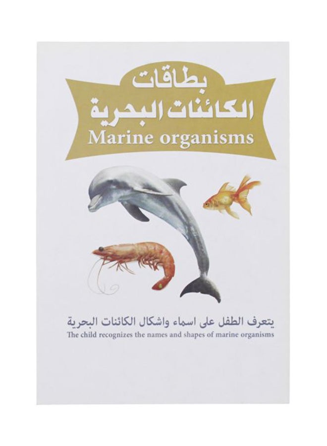 بطاقة فلاش بتصميم الكائنات البحرية - Image 1