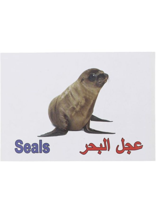 بطاقة فلاش بتصميم الكائنات البحرية - Image 4