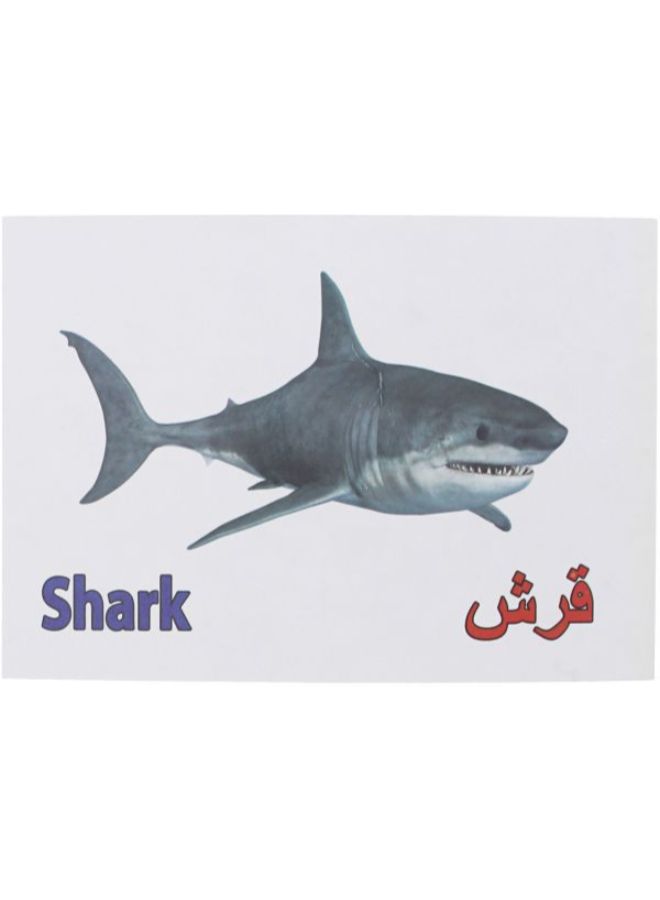 بطاقة فلاش بتصميم الكائنات البحرية - Image 3