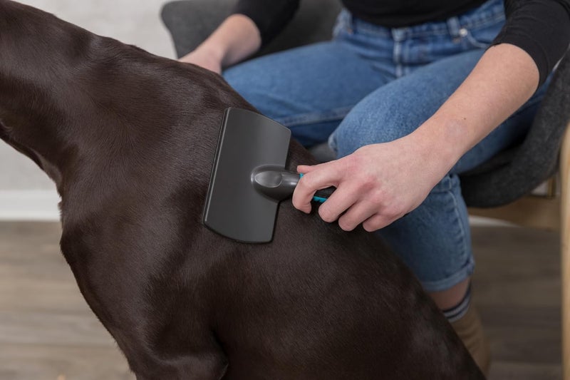 Trixie Soft Grooming Brush for Dogs & Cats - Image 5