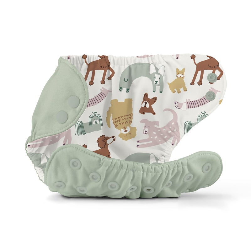 Esembly غطاء حفاضات قماش إيسمبلي - حفاضات سباحة قابلة لإعادة الاستخدام، مقاومة للماء، قابلة للتنفس - طبقة خارجية قابلة للتعديل فوق طبقة داخلية ماصة لحماية من الانفجارات - زجاج البحر، الحجم 2 (18-35 رطل) - Image 4