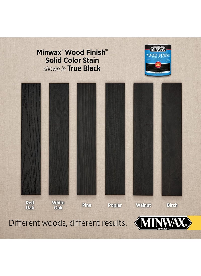 Minwax qt Minwax 10851 True Black Wood Finish WaterBased Solid Color Stain  - Image 2