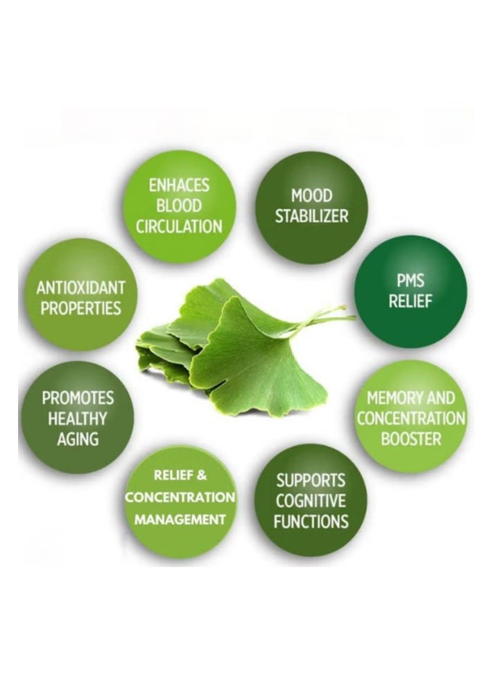 Nature's Nature's Answer Ginkgo Biloba 80mg Herbal Extract Vegan Capsules For Cognitive Support, Pack of 60's  - Image 4