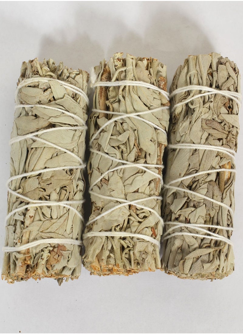 The Jasmin Store White Sage Bundles Pack of 3, 4 Inch 