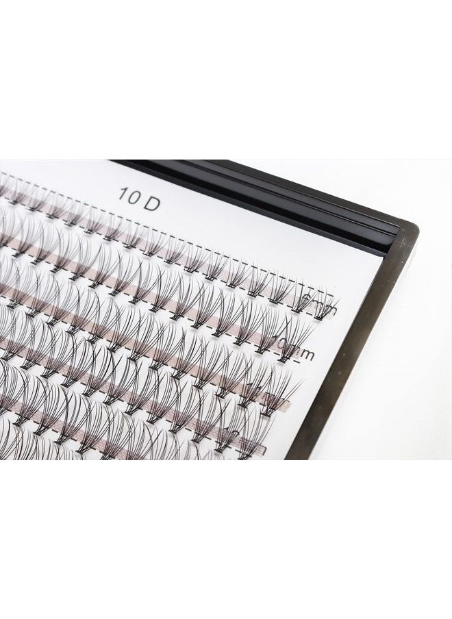 240PCS 10D /20D Mixed,8-12mm,10-14mm,12-16mm,14-18mm,16-20mm and Under Eyelashes Mixed Cluster C Curl Natural False Eyelash Extension Soft Lashes Individual Eyelashes (10-14mm Mixed)