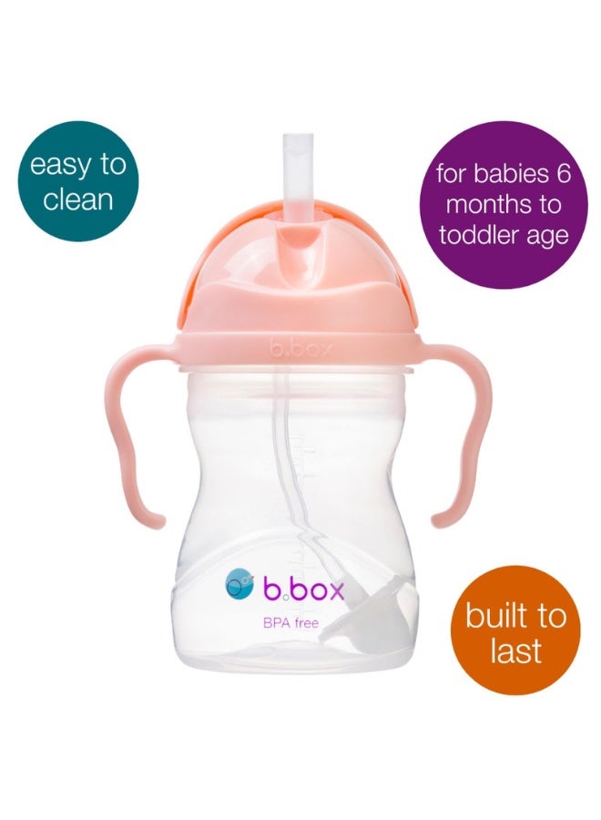 B.Box Leakproof Sippy Cup with Weighted Straw | 240ml (8.1 fl oz) | BPA Free | Easy Grip Handles | For Babies & Toddlers – Tutti Frutti - Image 2