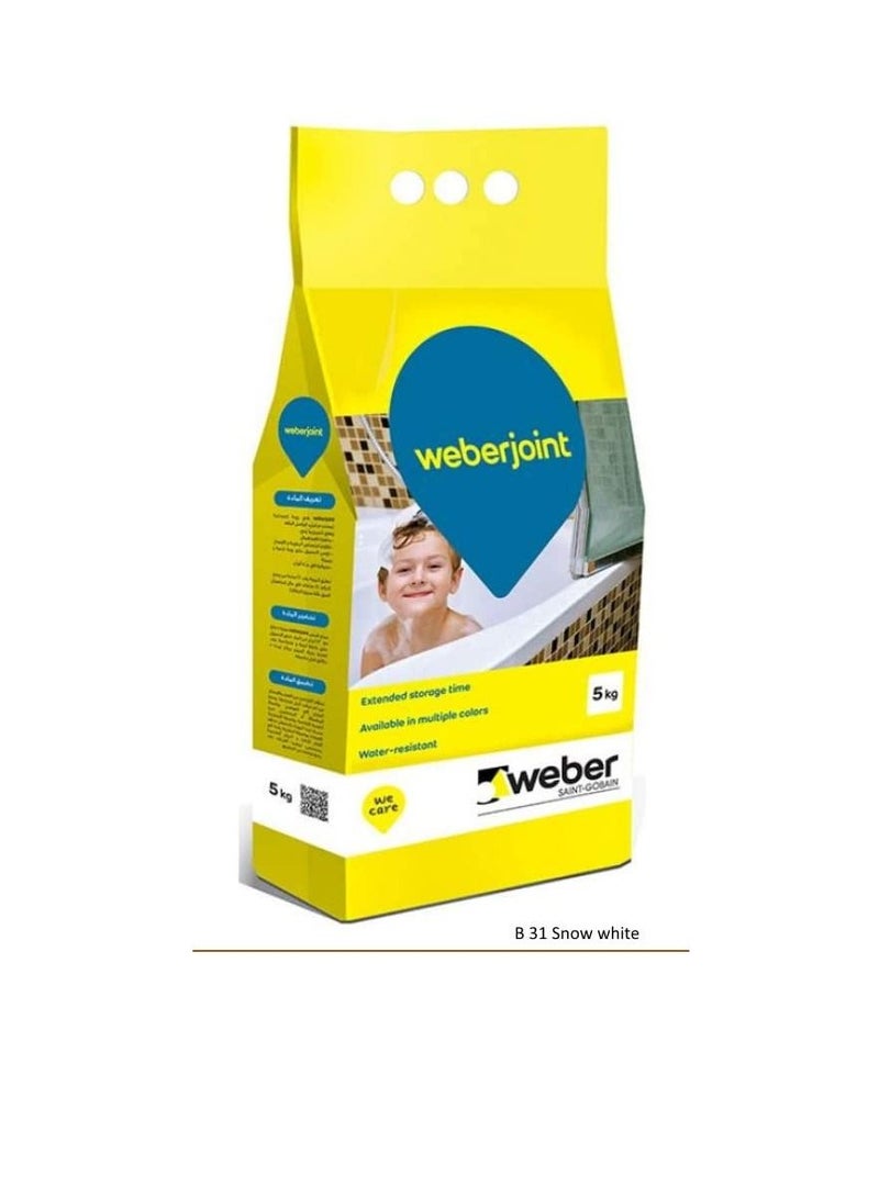 Weber Cement Based Pre Mixed Tile Joint Grout Multi Colors SNOW WHITE - Image 2
