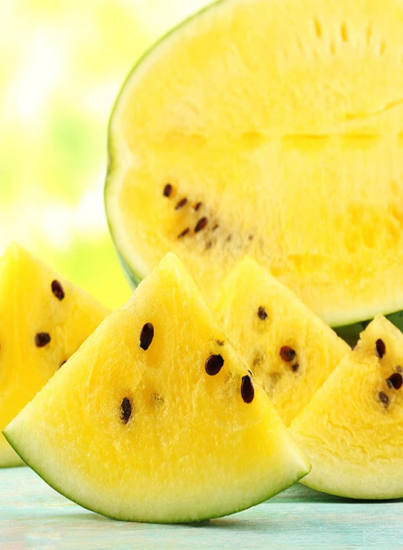 GGOOT 100Pcs Yellow Watermelon Seeds Pack | Non GMO Productive Home Fruit Seeds Gardening Kit Seeds 1size - Image 1