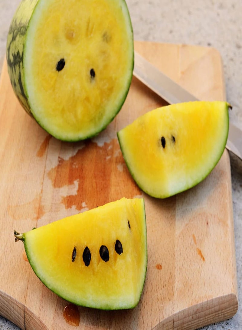 GGOOT 100Pcs Yellow Watermelon Seeds Pack | Non GMO Productive Home Fruit Seeds Gardening Kit Seeds 1size - Image 5