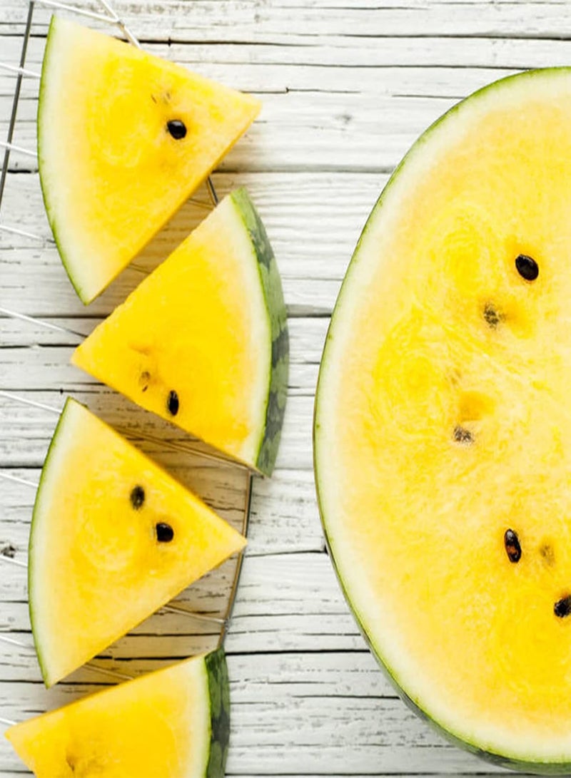 GGOOT 100Pcs Yellow Watermelon Seeds Pack | Non GMO Productive Home Fruit Seeds Gardening Kit Seeds 1size - Image 4