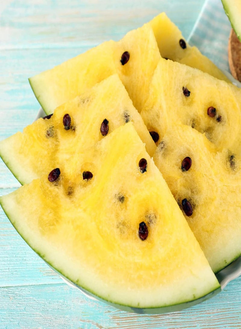GGOOT 100Pcs Yellow Watermelon Seeds Pack | Non GMO Productive Home Fruit Seeds Gardening Kit Seeds 1size - Image 3