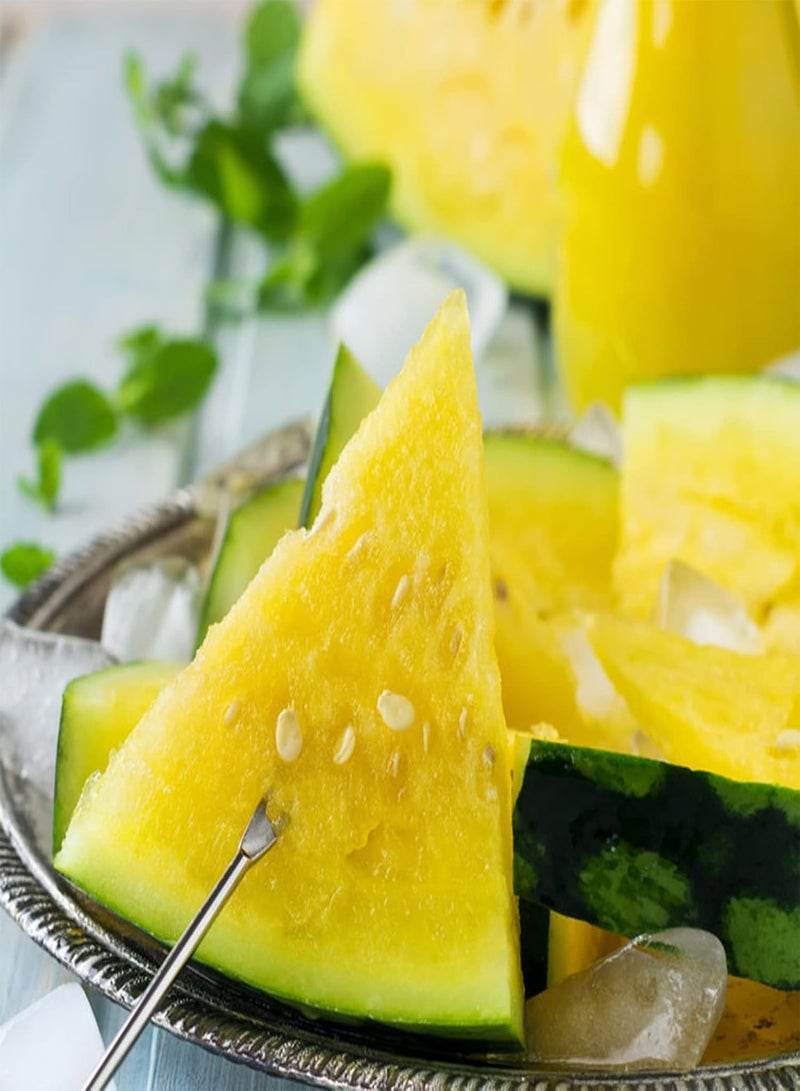 GGOOT 100Pcs Yellow Watermelon Seeds Pack | Non GMO Productive Home Fruit Seeds Gardening Kit Seeds 1size - Image 2