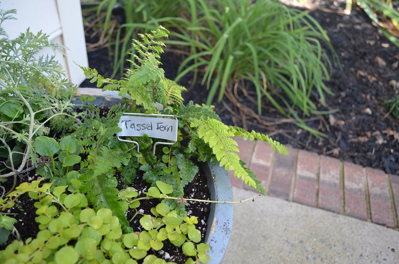 Bosmere Small-Faced Zinc Metal Plant Marker with Carbon Pencil, 5" High (Pack of 20) - Image 4