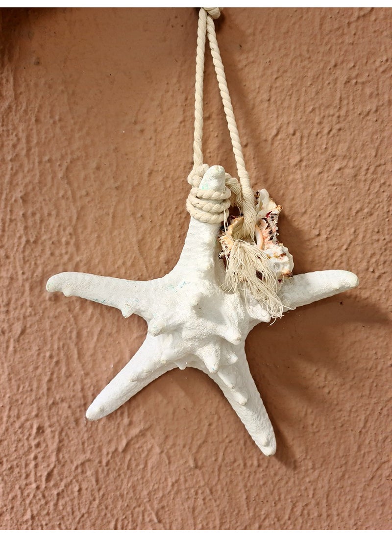 Turkuaz Hediyelik Ocean Breeze Turquoise Gift Real Starfish Wall Decoration in Your Home  - Image 1