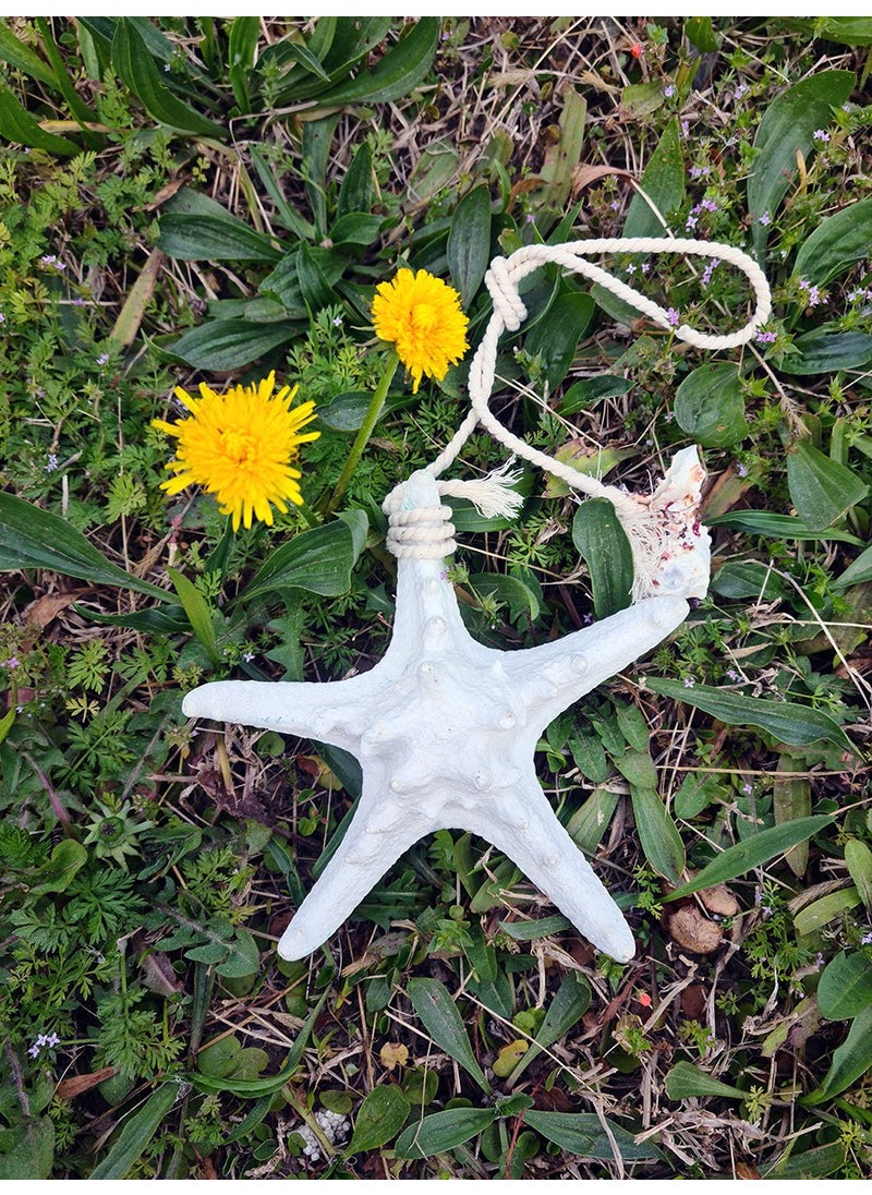 Turkuaz Hediyelik Ocean Breeze Turquoise Gift Real Starfish Wall Decoration in Your Home  - Image 3