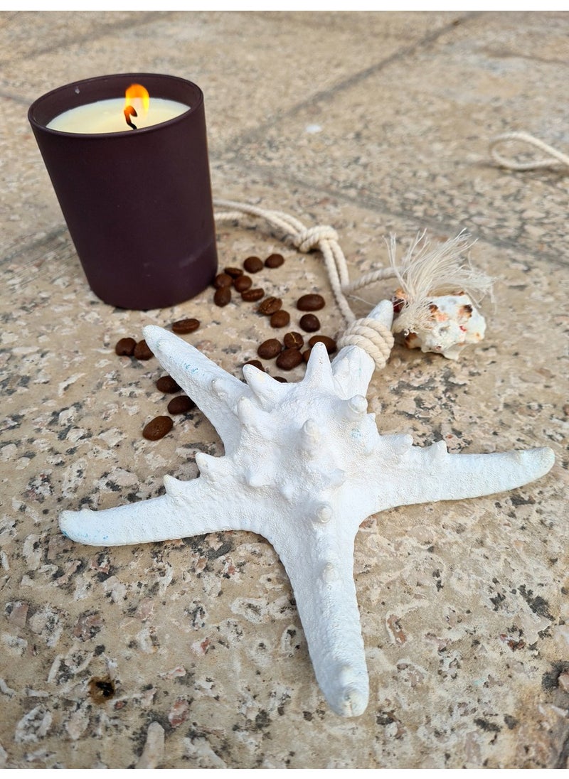 Turkuaz Hediyelik Ocean Breeze Turquoise Gift Real Starfish Wall Decoration in Your Home  - Image 4