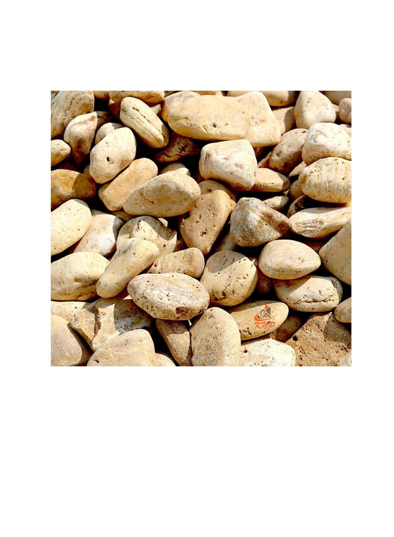 KNP Yellow Forest River Stone Natural Garden Material 1-2 cm 5 kg - Image 2