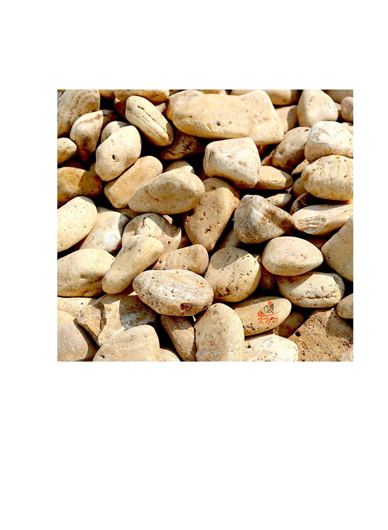 KNP Yellow Forest River Stone Natural Garden Material 1-2 cm 5 kg - Image 3
