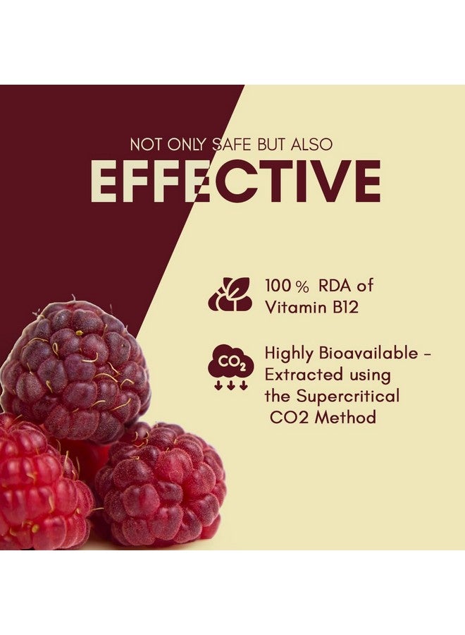 Rasayanam Plant Based Vitamin B12 Supplement For Men & Women | Organic Formulation For Vegetarians & Vegans To Support Nervous System & Brain Function - 120 Veg. Capsules - Image 4