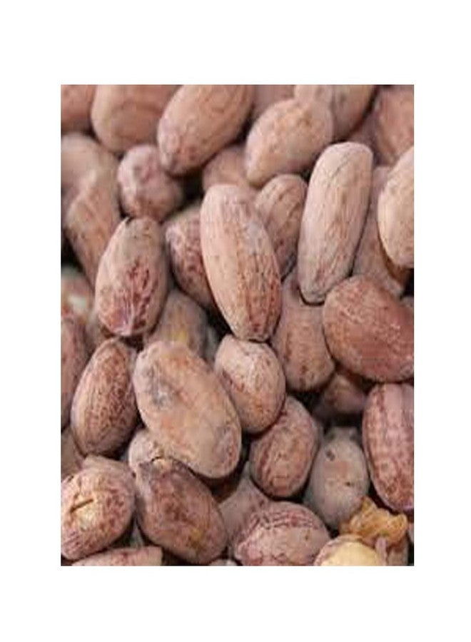 Avenn Roasted Salted Peanuts | Gujrat Special Mungfali Snack | Groundnut Singdana Seed | Salted Sing with Husk | Jumbo Fresh Grade A Bharuch Khari Sing Skin Removed - 500 GM - Image 3