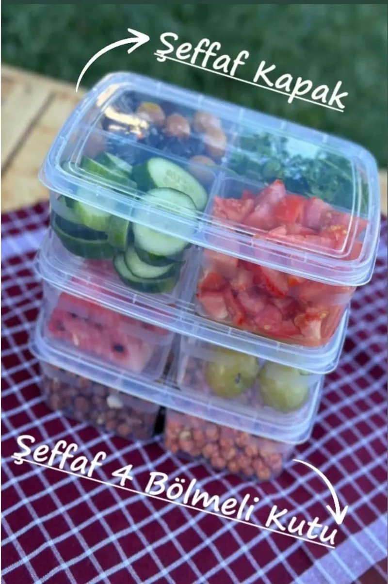 Safestore Large 12 Pieces 4 Compartments Frozen Meal and Vegetable Storage Container - Freezer Minced Meat Box