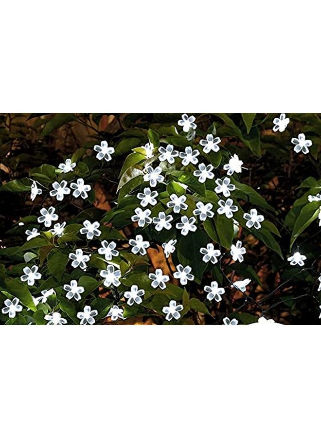 fizzytech فزيتيك 25 لمبة 4 متر أضواء سلسلة زهور مزهرة لتزيين المنزل ضوء ديوالي للحفلات أعياد الميلاد ديوالي عيد الميلاد (أبيض)(بلاستيك) - Image 5