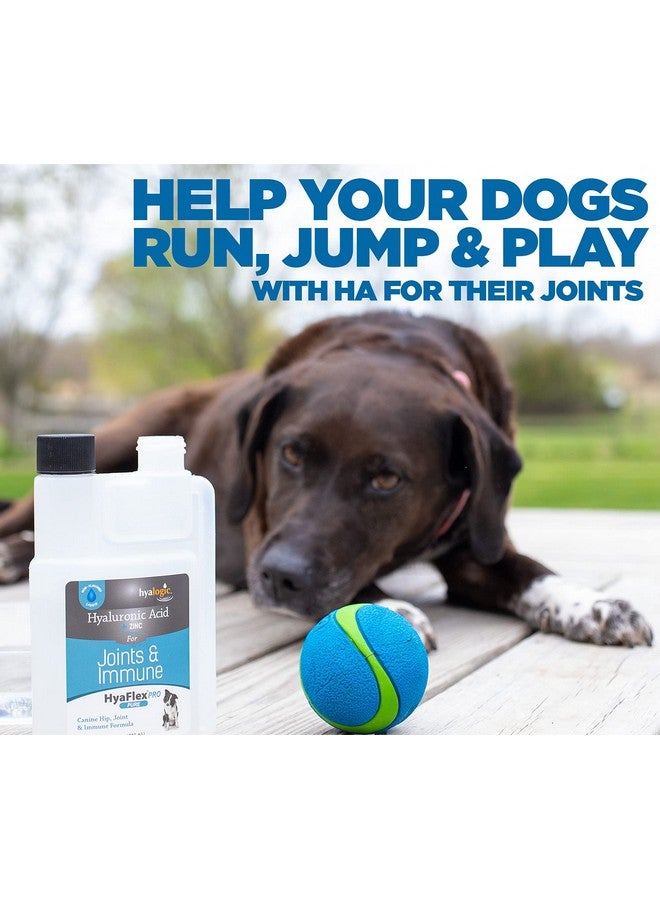 Hyalogic Canine Hyaluronic Acid + Zinc by Hyalogic - Joint & Immune Support, HyaFlex Pro Pure 8oz - Liquid Oral HA Dog & Pet Supplement - Image 2