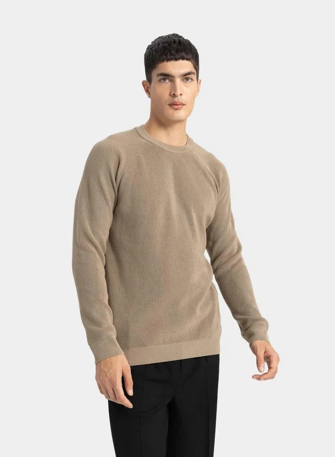 DeFacto Regular Fit Crew Neck Knit Sweater by Styli