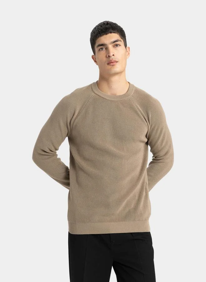 DeFacto Regular Fit Crew Neck Knit Sweater by Styli
