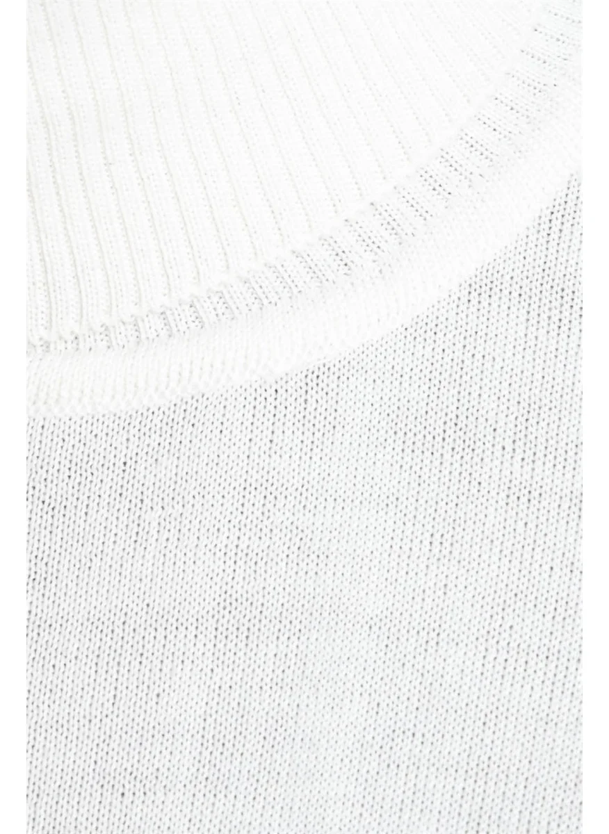 Tudors Slim Fit Narrow Cut Full Turtle Collar Plain Wool Men's Sweater