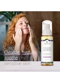 Tree to Tub Tree to Tub Sensitive Skin Face Wash for Dry Skin - Moisturizing Gentle Face Cleanser for Women & Men, Hydrating Foaming Facial Cleanser, Daily Face Soap w/Organic Aloe Vera, All Natural Lavender Oil  - Image 2
