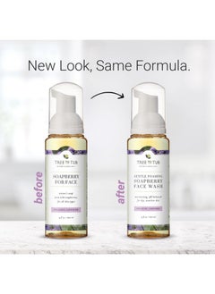 Tree to Tub Tree to Tub Sensitive Skin Face Wash for Dry Skin - Moisturizing Gentle Face Cleanser for Women & Men, Hydrating Foaming Facial Cleanser, Daily Face Soap w/Organic Aloe Vera, All Natural Lavender Oil  - Image 4