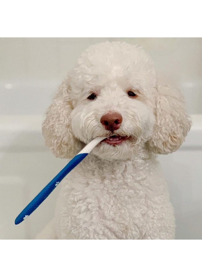 Nylabone Advanced Oral Care Dog Dental Kit Original Flavor 2.5 Oz.  - Image 2