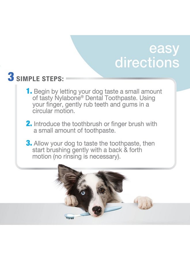 Nylabone Advanced Oral Care Dog Dental Kit Original Flavor 2.5 Oz.  - Image 4