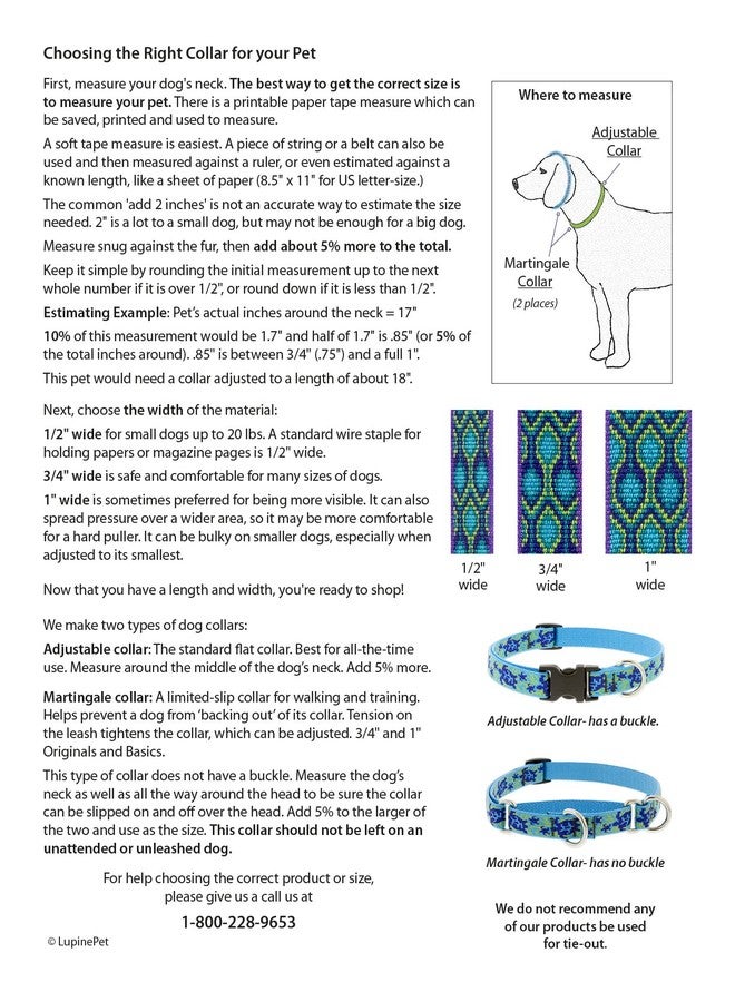 لوبين طوق مارتينجال للكلاب من مجموعة لوبين إيكو، عرض 3/4 بوصة، قابل للتعديل من 14 إلى 20 بوصة - Image 2