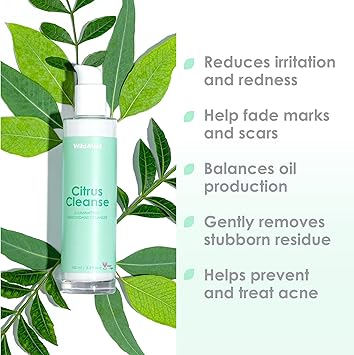 WildMint Citrus Cleanse Natural Face Cleanser Gentle Creamy Face Wash for Sensitive Mature AcneProne Dry Skin Vitamin C Brightening Skincare UK Made Vegan CrueltyFree Skincare 100ml - Image 2