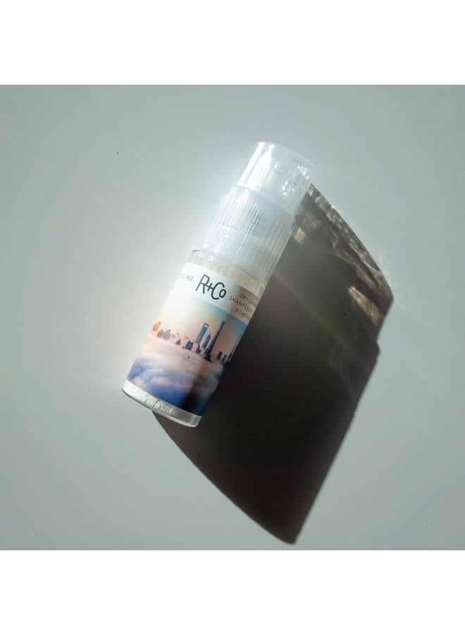 R+Co Skyline Dry Shampoo Powder | Intense Oil Absorption | Revives Volume, Hair Texture and Grip | TSA Approved | 1 Fl Oz - Image 4