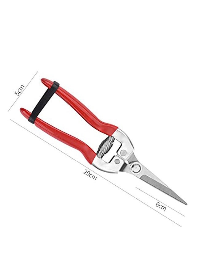 YELUN Garden Shears Pruning Shears, Gardening Equipment for Pruner Pruning Shear, for Plants, Grape Picking, Small Gardening - Image 2