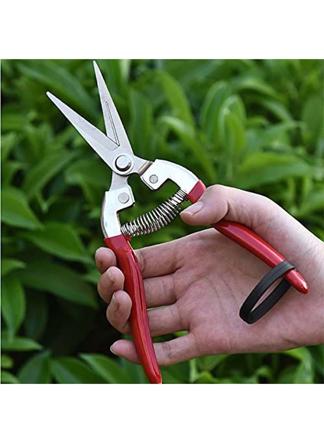 YELUN Garden Shears Pruning Shears, Gardening Equipment for Pruner Pruning Shear, for Plants, Grape Picking, Small Gardening - Image 5