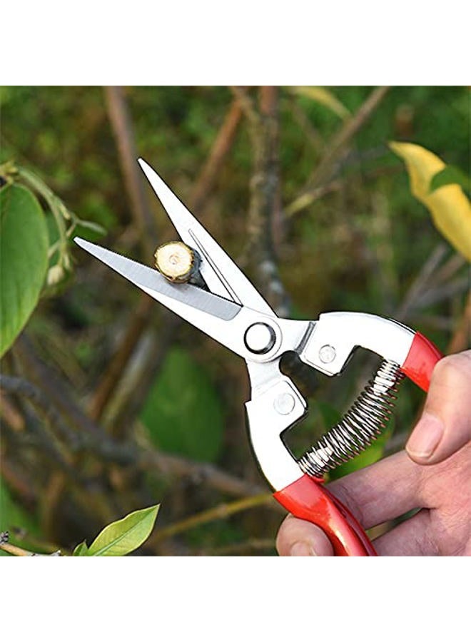 YELUN Garden Shears Pruning Shears, Gardening Equipment for Pruner Pruning Shear, for Plants, Grape Picking, Small Gardening - Image 3
