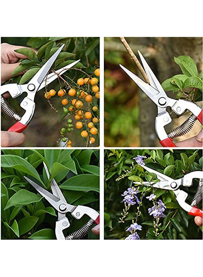 YELUN Garden Shears Pruning Shears, Gardening Equipment for Pruner Pruning Shear, for Plants, Grape Picking, Small Gardening - Image 4