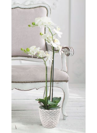 Karasu Yakamoz Orchid Pot No: 2 1.3 Lt. (14.6 x 12.9 Cm)  - Image 2