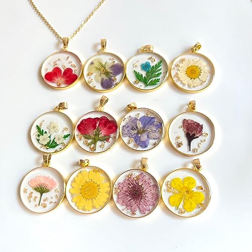Zarwani 12pc Natural Real Pressed Dried Flowers for Art & Craft - Mini Mix | Dried Flowers for Soap Making, Epoxy, Candle Decor, DIY Resin Art, Nail Art, Jewellery, Pendant, Trays & Potpourri - Image 5