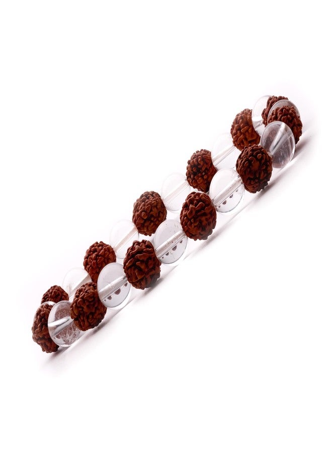 Plus Value Natural Rudraksha Crystal Bracelet for Men Women - Reiki Healing Crystal Vastu Feng Shui for Men Women (Beads Size 8mm, 1 Jute Bag) - Image 1