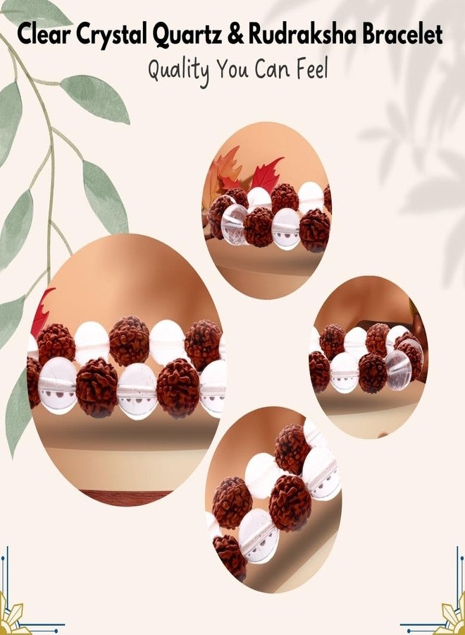 Plus Value Natural Rudraksha Crystal Bracelet for Men Women - Reiki Healing Crystal Vastu Feng Shui for Men Women (Beads Size 8mm, 1 Jute Bag) - Image 3