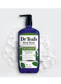 Dr Teal's Body Wash with Pure Epsom Salt, Relax & Relief with Eucalyptus & Spearmint, 24 fl oz (Pack of 4) (Packaging May Vary) - pzsku/Z6EB256E543F65D28CA57Z/45/_/1714461282/ddb2e11a-3055-4ff1-9d98-5b33aad2ecd9